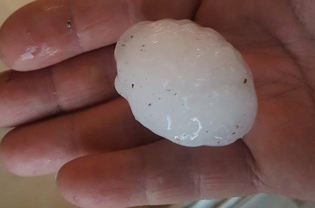 argentina harvest 2017