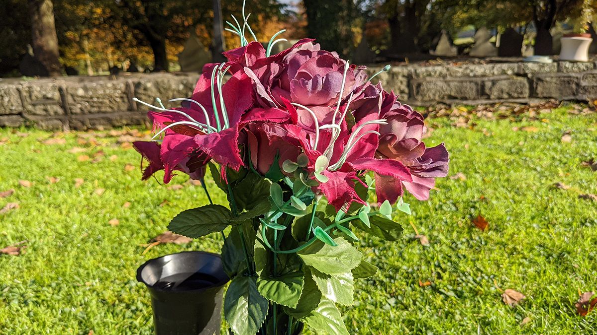 Google Pixel 4 camera sample