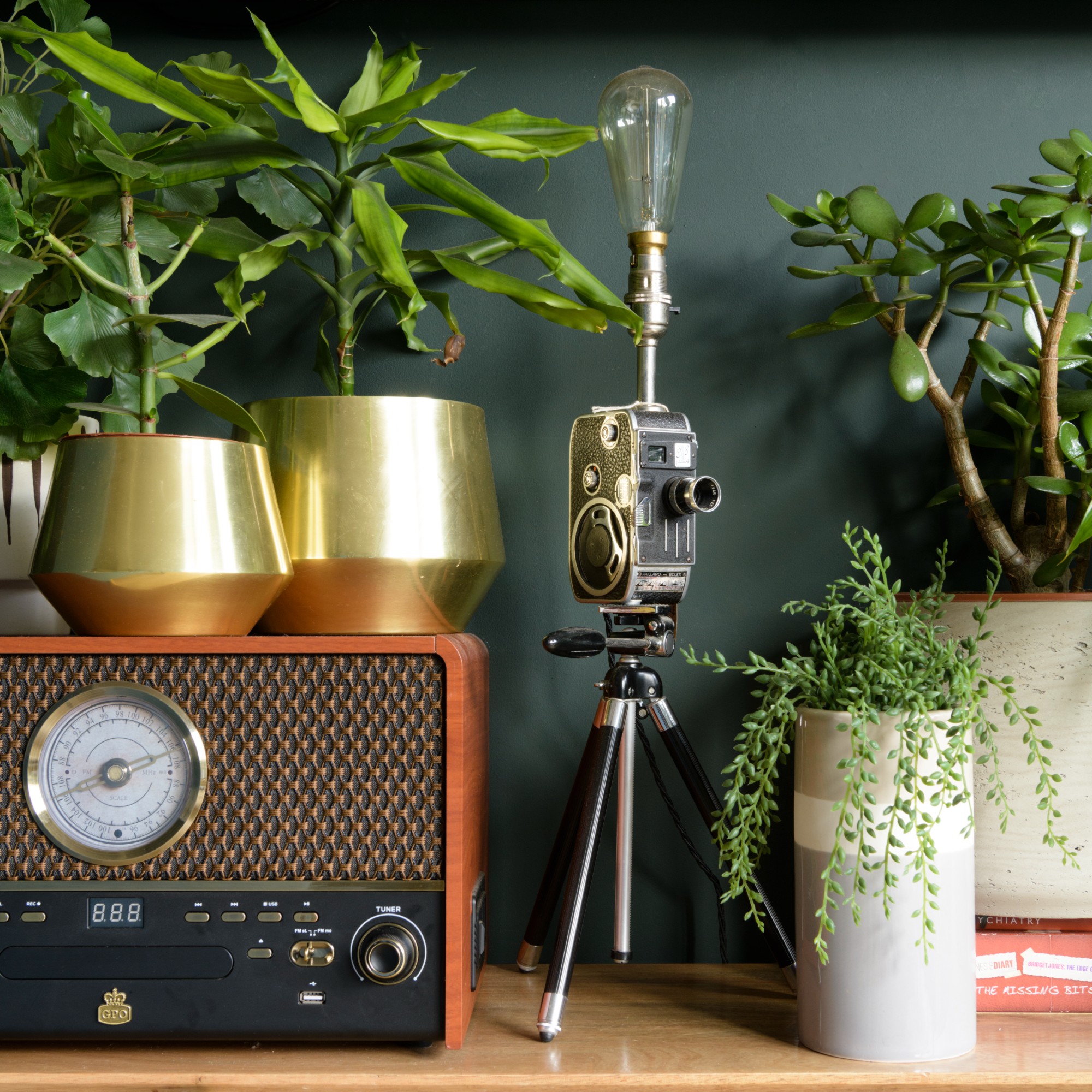 A plant display with a vintage radio and a camera