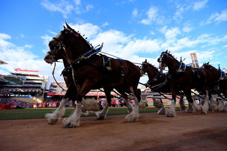 Budweiser is benching the Clydesdales