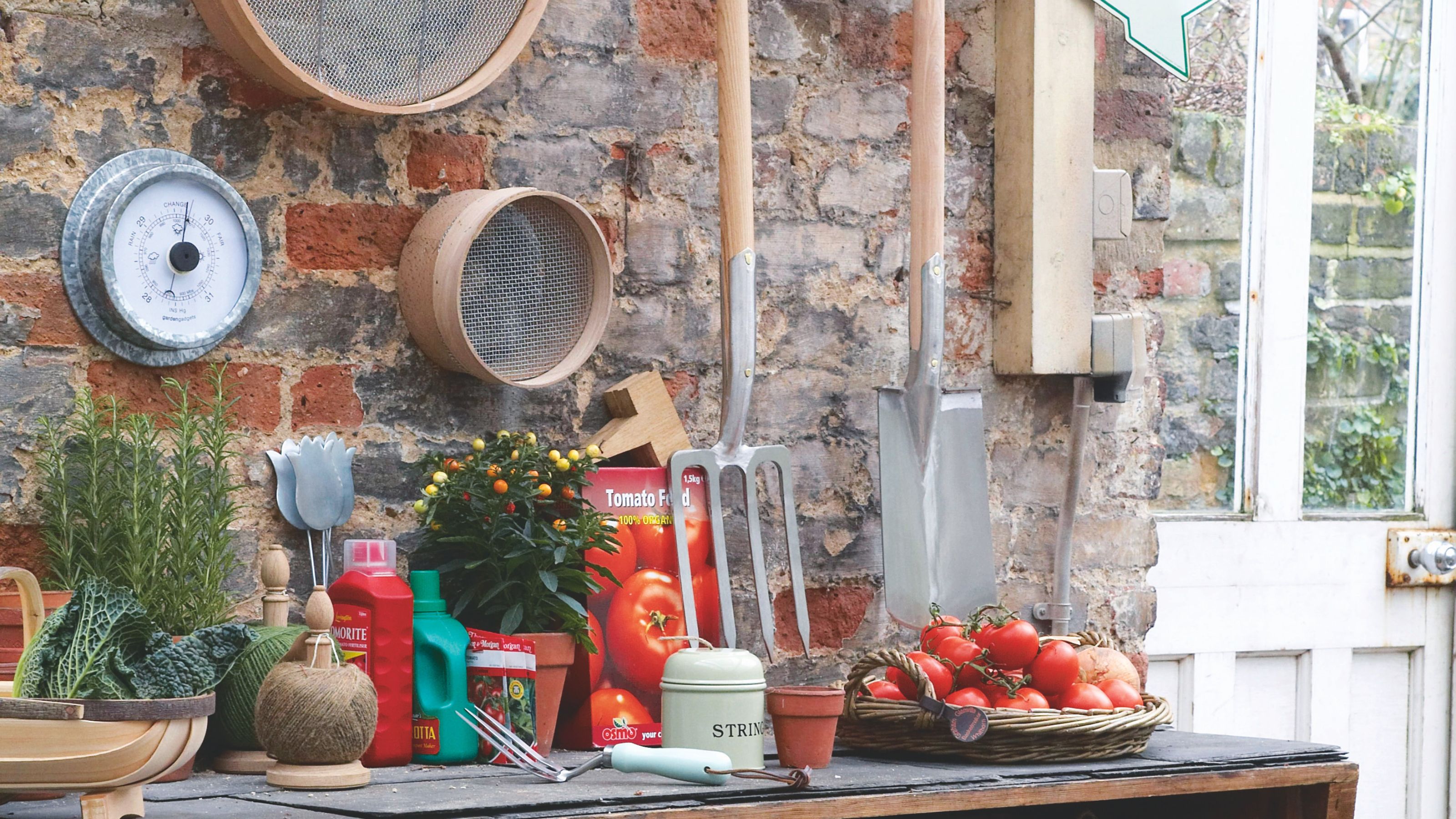 Garden spade and fork hanging against brick wall above potting bench