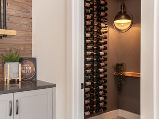 Wine room in a basement