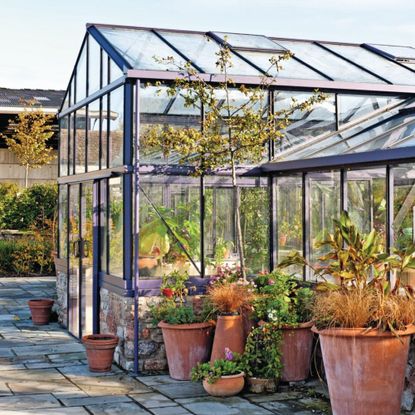 Large blue greenhouse with terracotta plant pots in front of it