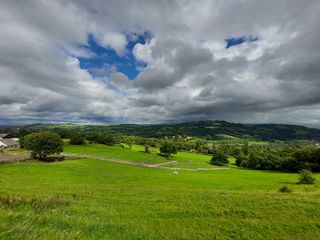 Samsung Galaxy S10 Lite camera sample