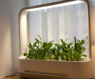 hydroponic growing system with rocket
