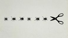 Photo collage of a row of ticks chased by a giant pair of scissors