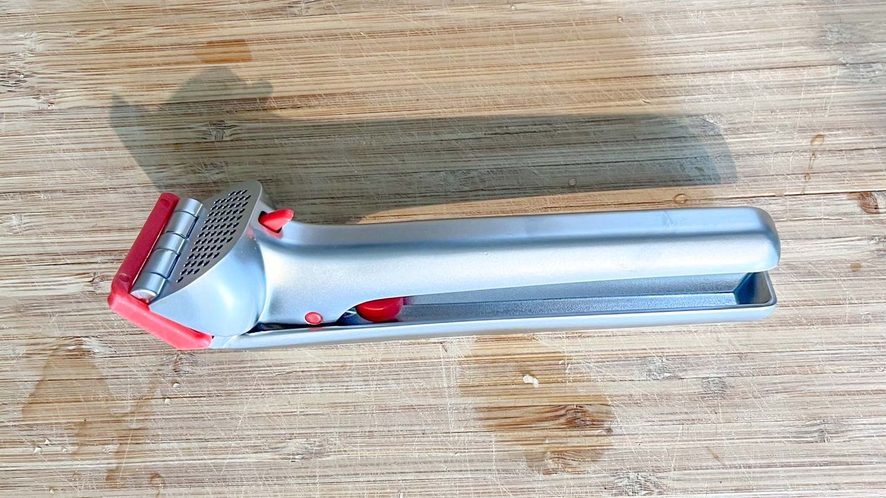 Dreamfarm Garject Garlic Press