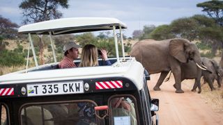 Safari, Wildlife, Elephant, Adventure, Regularity rally, Elephants and Mammoths, Motor vehicle, Mode of transport, Transport, Vehicle,