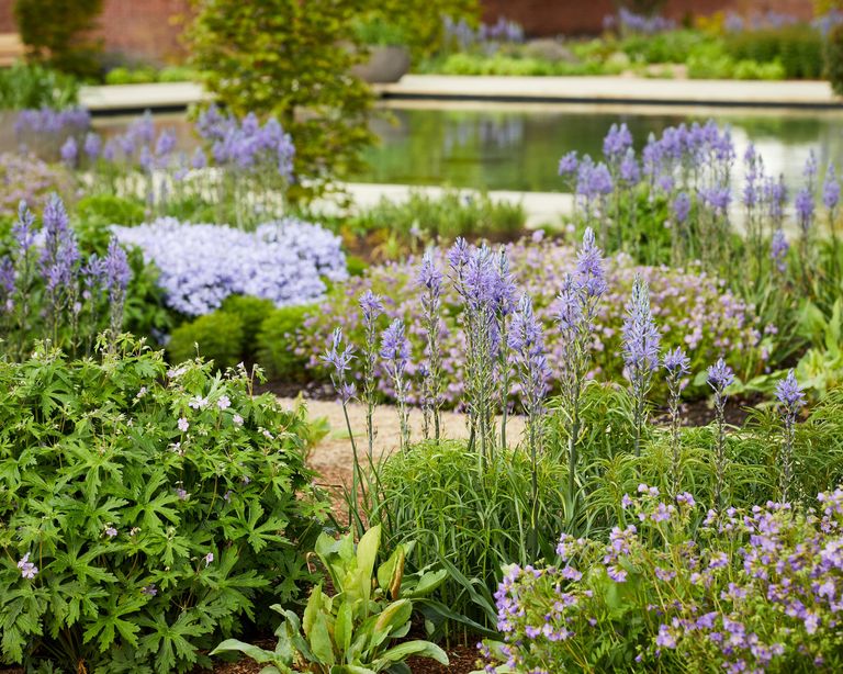 The 5 top tips to take from the new RHS Garden Bridgewater Gardeningetc