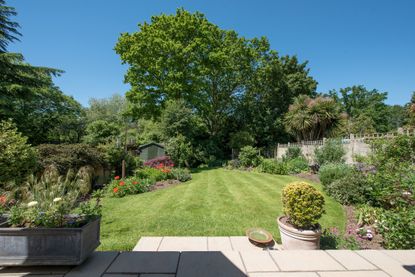 A general view looking down a back garden from a patio laid to lawn with flower beds small shed and large trees on a hot summers day with clear blue sky