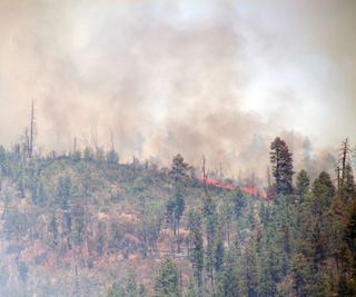 The Bull Flat Fire in Arizona began May 10 and is believed to have been caused by a ligtning strike. 