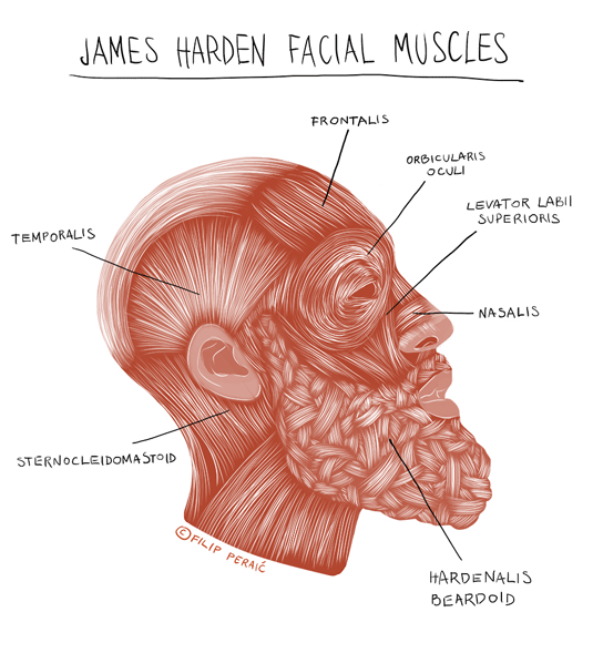 James Harden illustration