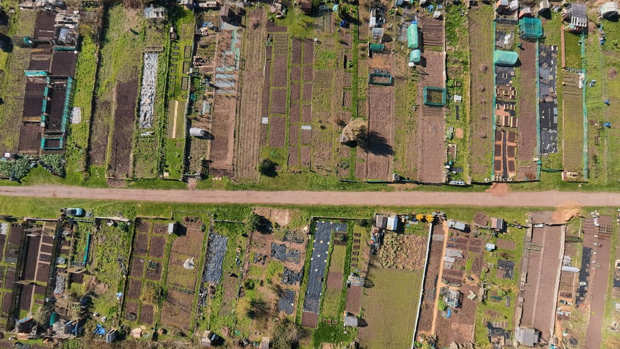 Photo of an allotment taken with the DJI Avata 360