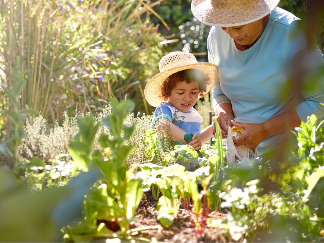 A Child And An Adult Working In The Garden