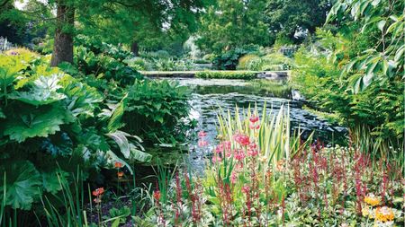 Garden pond with luscious planting