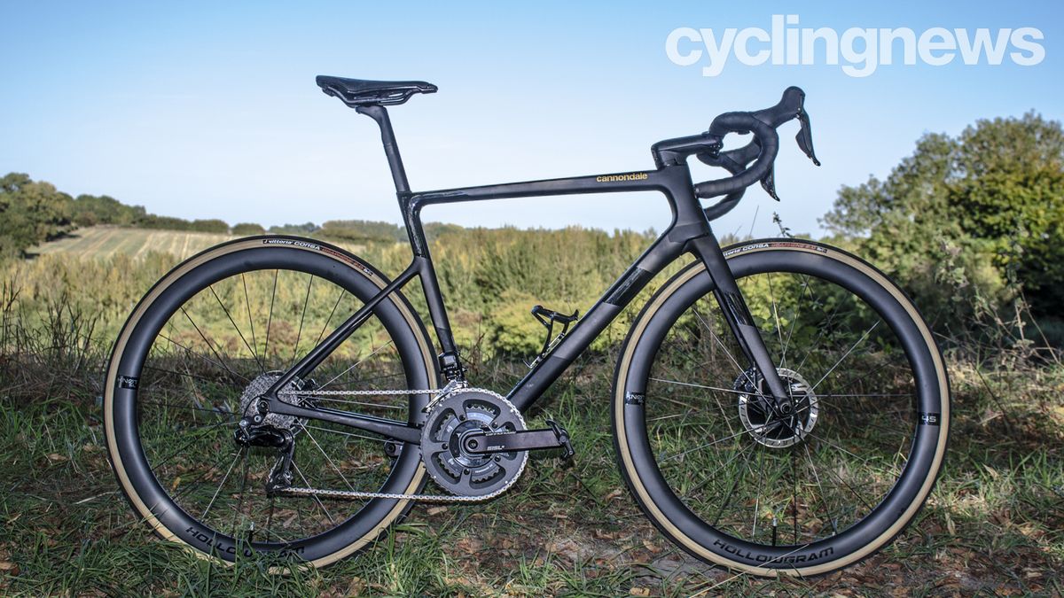 Cannondale Supersix EVO profile