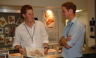 Prince Harry and Prince William looking at programmes for Diana service