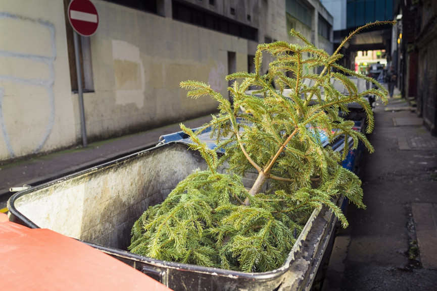 its-time-to-get-rid-of-your-christmas-tree-but-how-2-1556668663-BRyz-column-width-inline