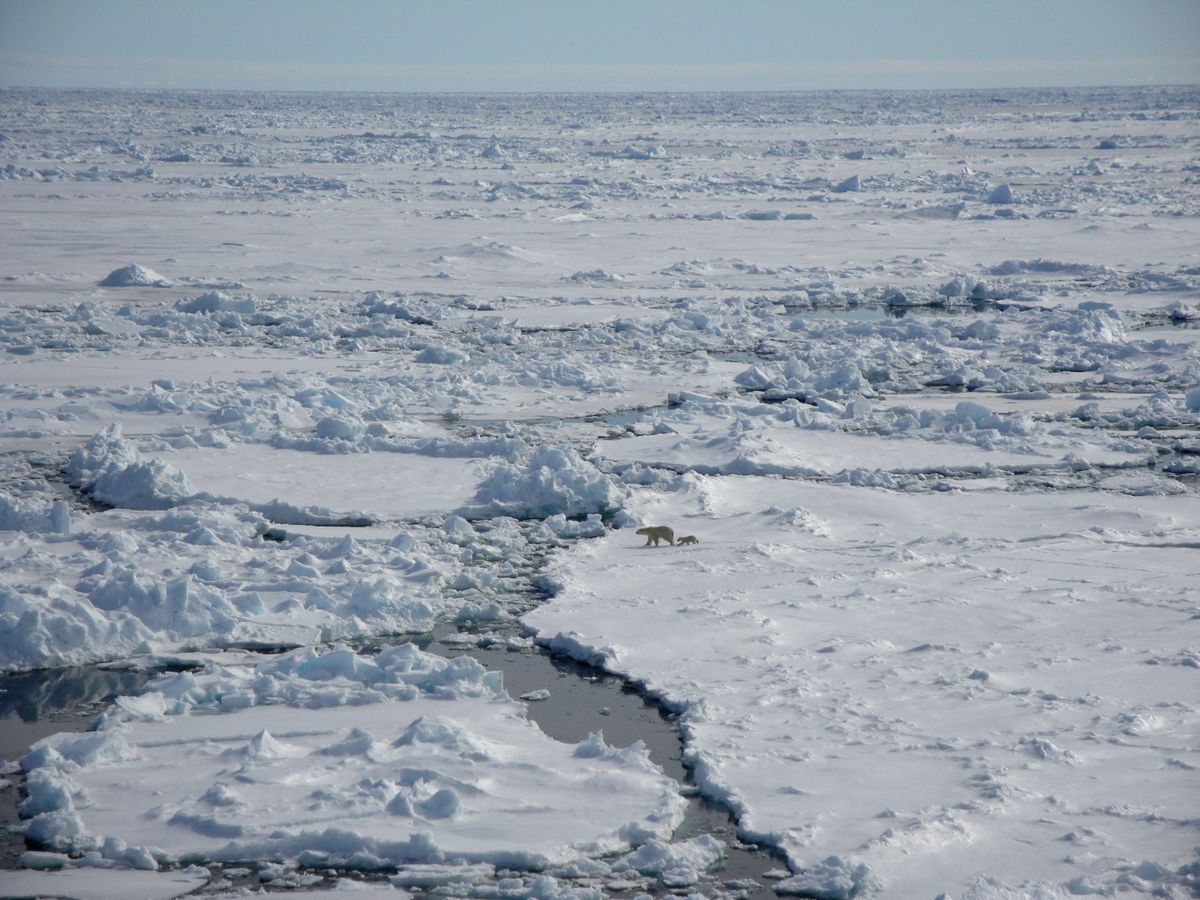 Storms May Have Prevented Record Loss of Arctic Ice | Live Science