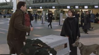 Meg and Hamilton arguing in the airport in Best in Show