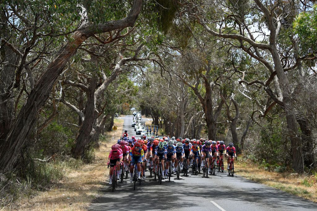 Women's and men's Surf Coast Classics cancelled due to evolving bushfire and weather conditions, 'no identified impacts at this time' for Cadel Evans Great Ocean Road Races