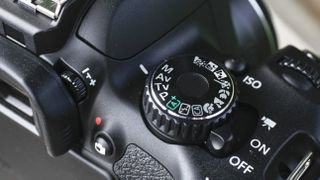 How to use your new digital camera