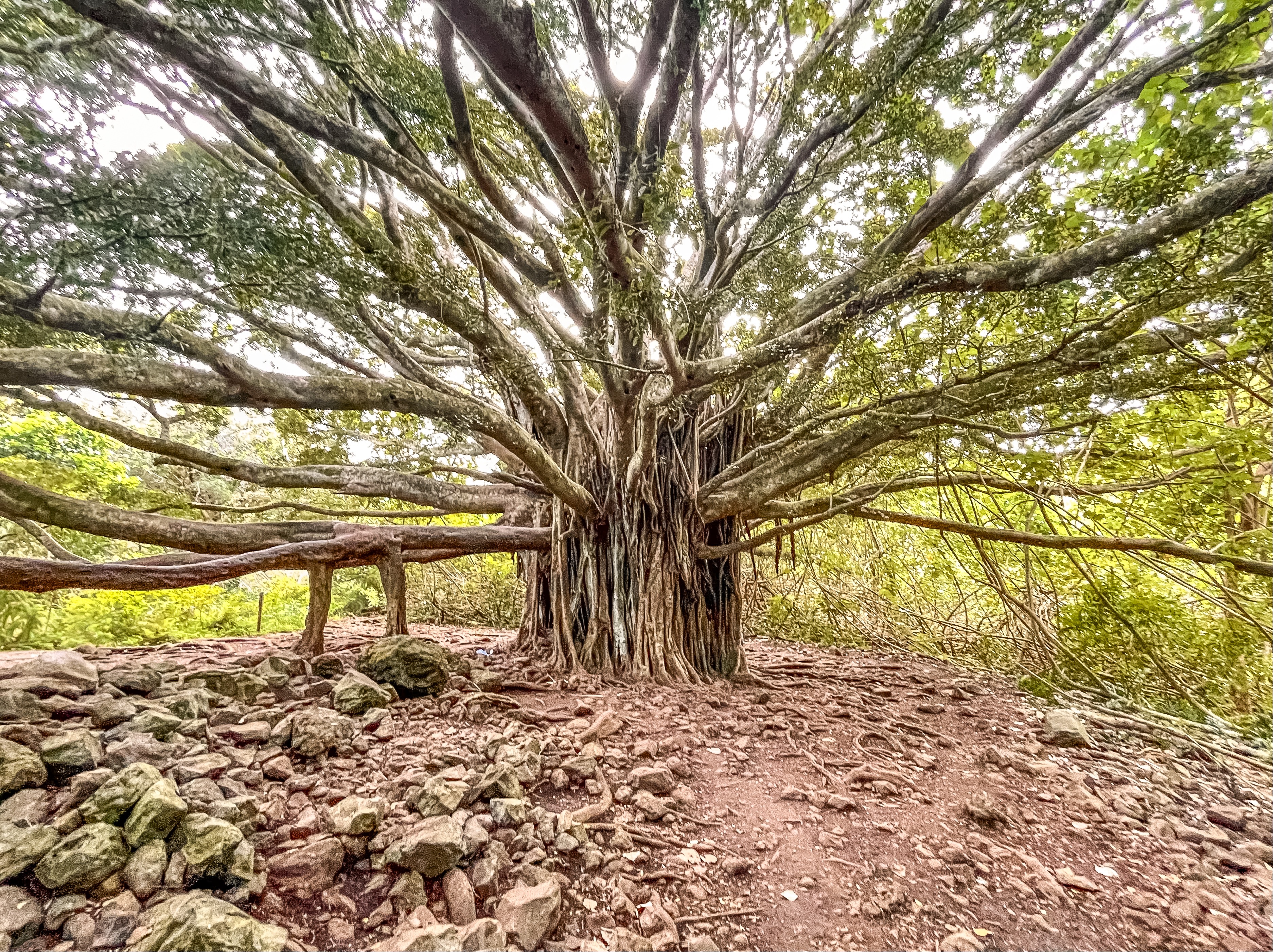 GuruShots - Nature March 2026