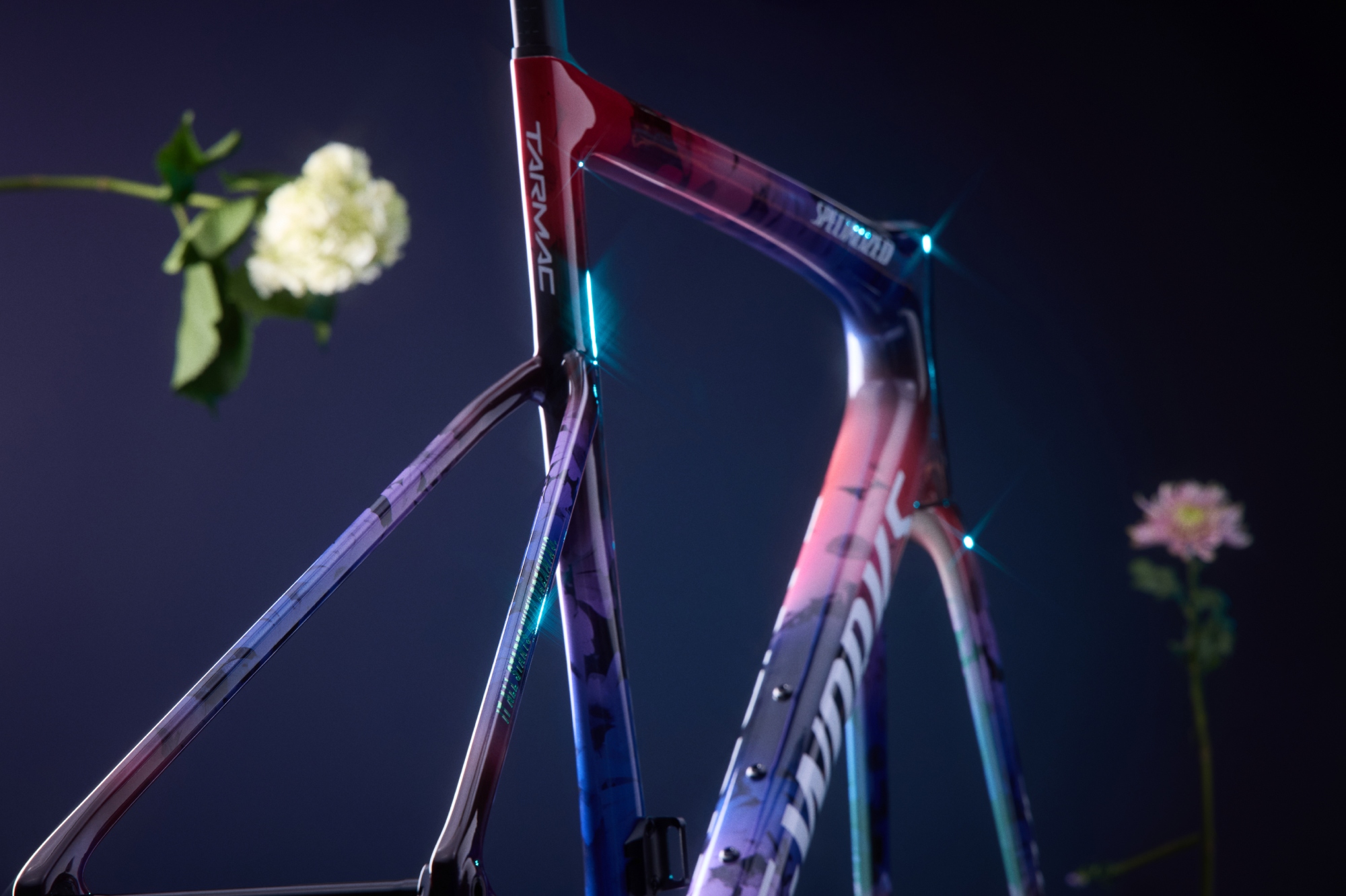 Specialized's Demi Dreaming S-Works Tarmac SL8