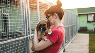adopting vs buying a dog