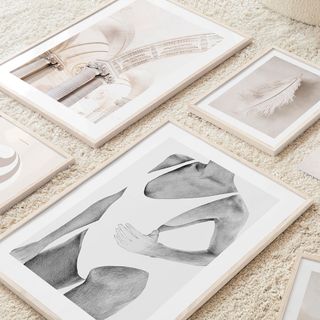 collection of framed pictures in light brown frames including a black and white image of a women in a white bathing suit, a white feather and a roman archway and columns