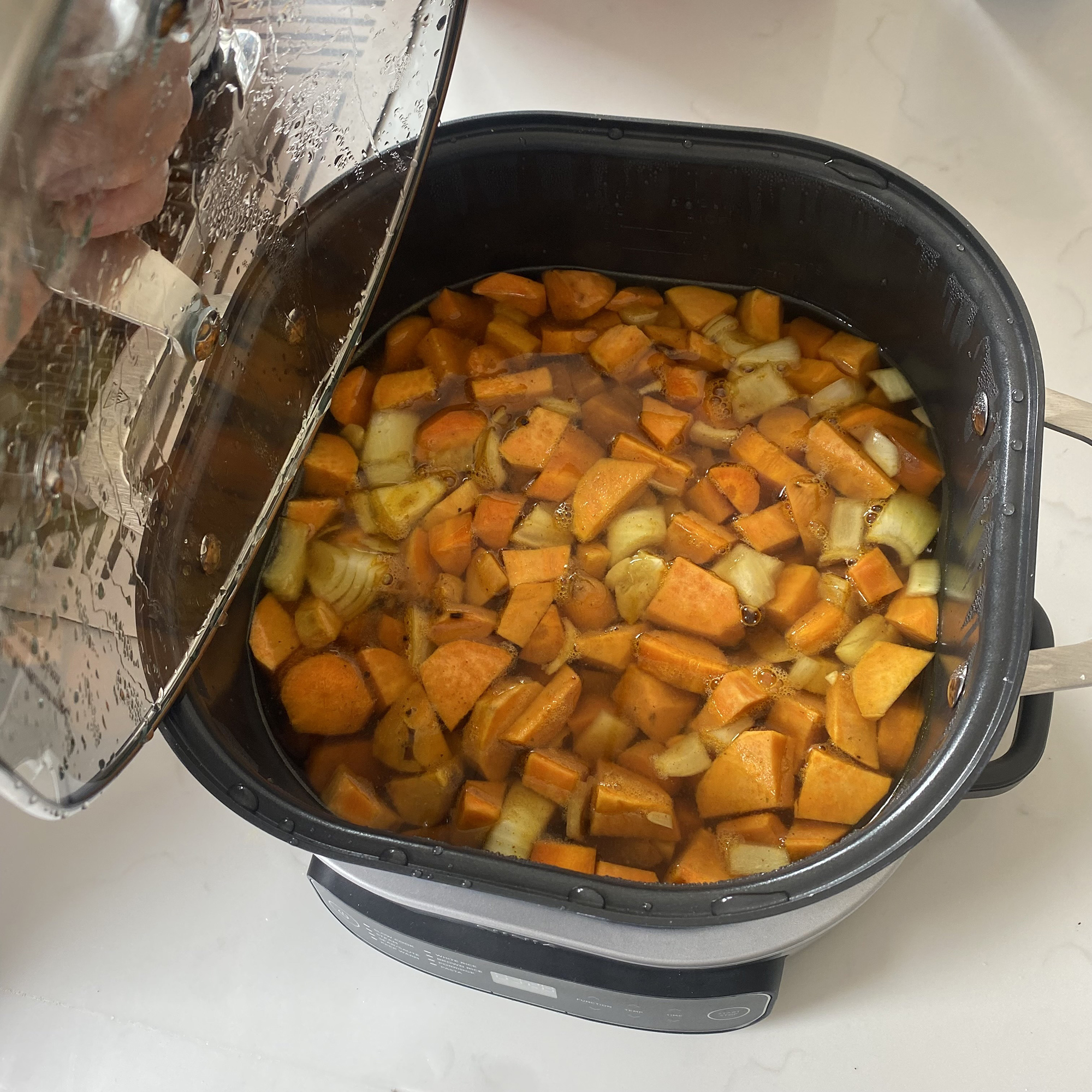 Testing the Ninja Possible Cooker at home 