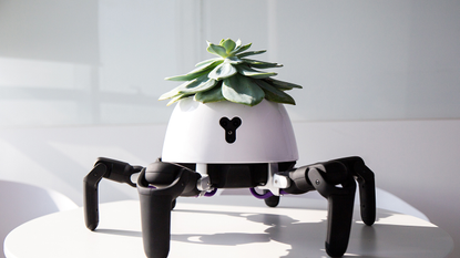 The Hexa Robot Planter by Vincross Takes Care of Your Plant For You