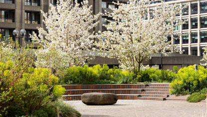 barbican centre beech gardens