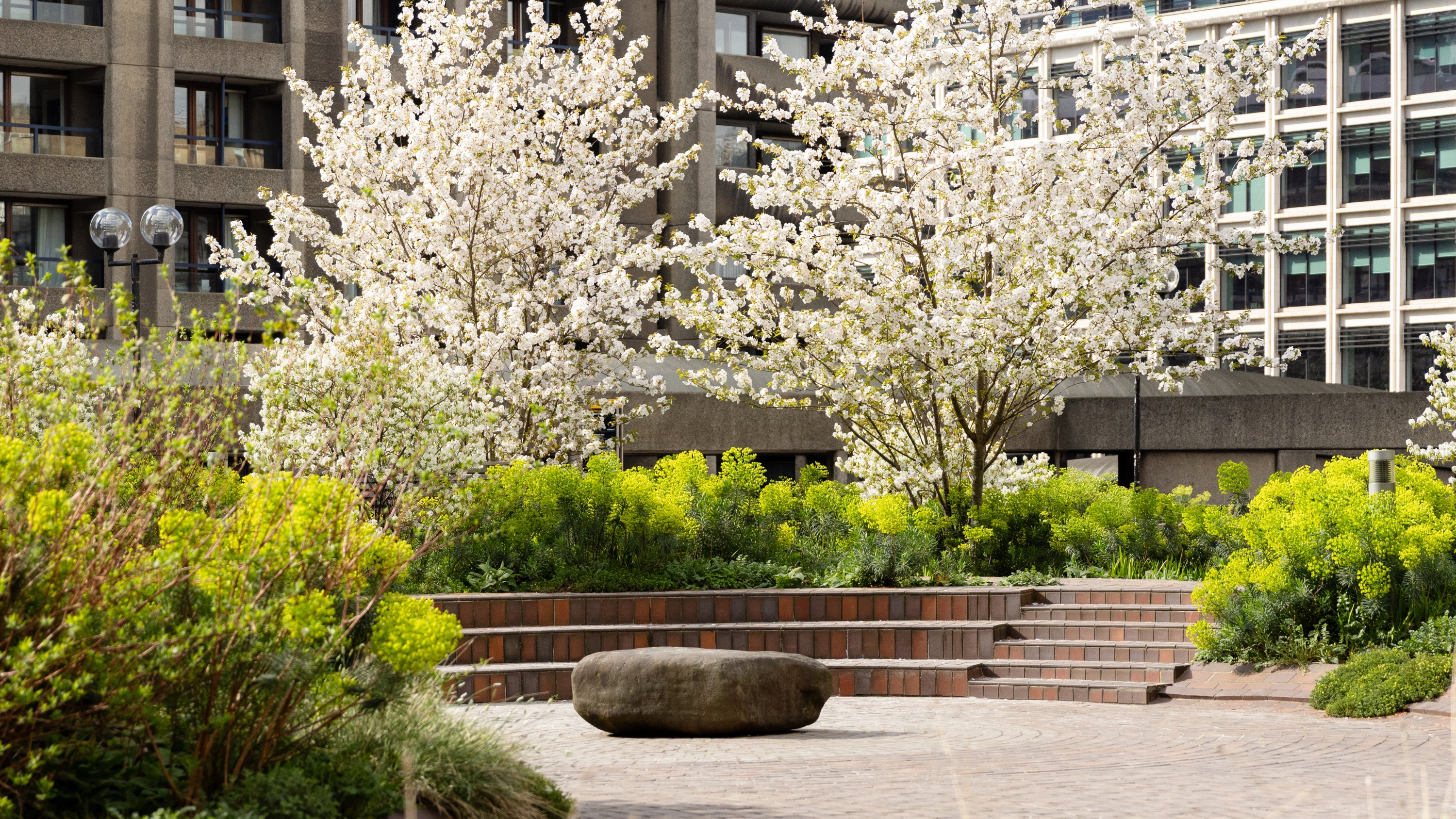 barbican centre beech gardens