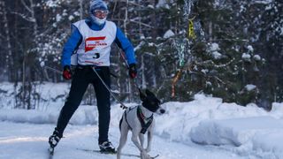 A man skijoring with a dog