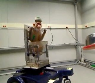 monkey uses mind-controlled wheelchair