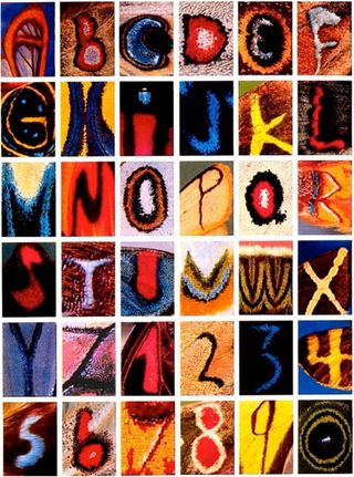 butterfly alphabet