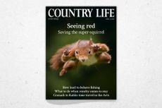 Cover of Country Life 22 April 2026, featuring a leaping red squirrel photographed by Terry Donnelly.