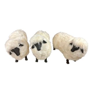 ovelha estilo lalanne