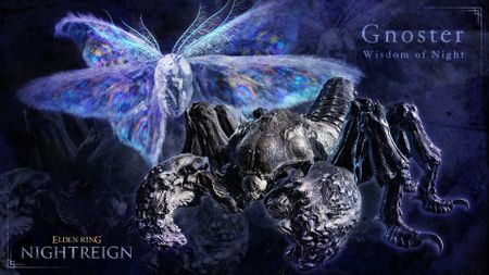 Elden Ring Nightreign two bug bosses