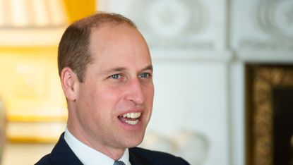 Prince William, Duke of Cambridge speaks during an audience at Buckingham Palace on January 20, 2020 in London, England.