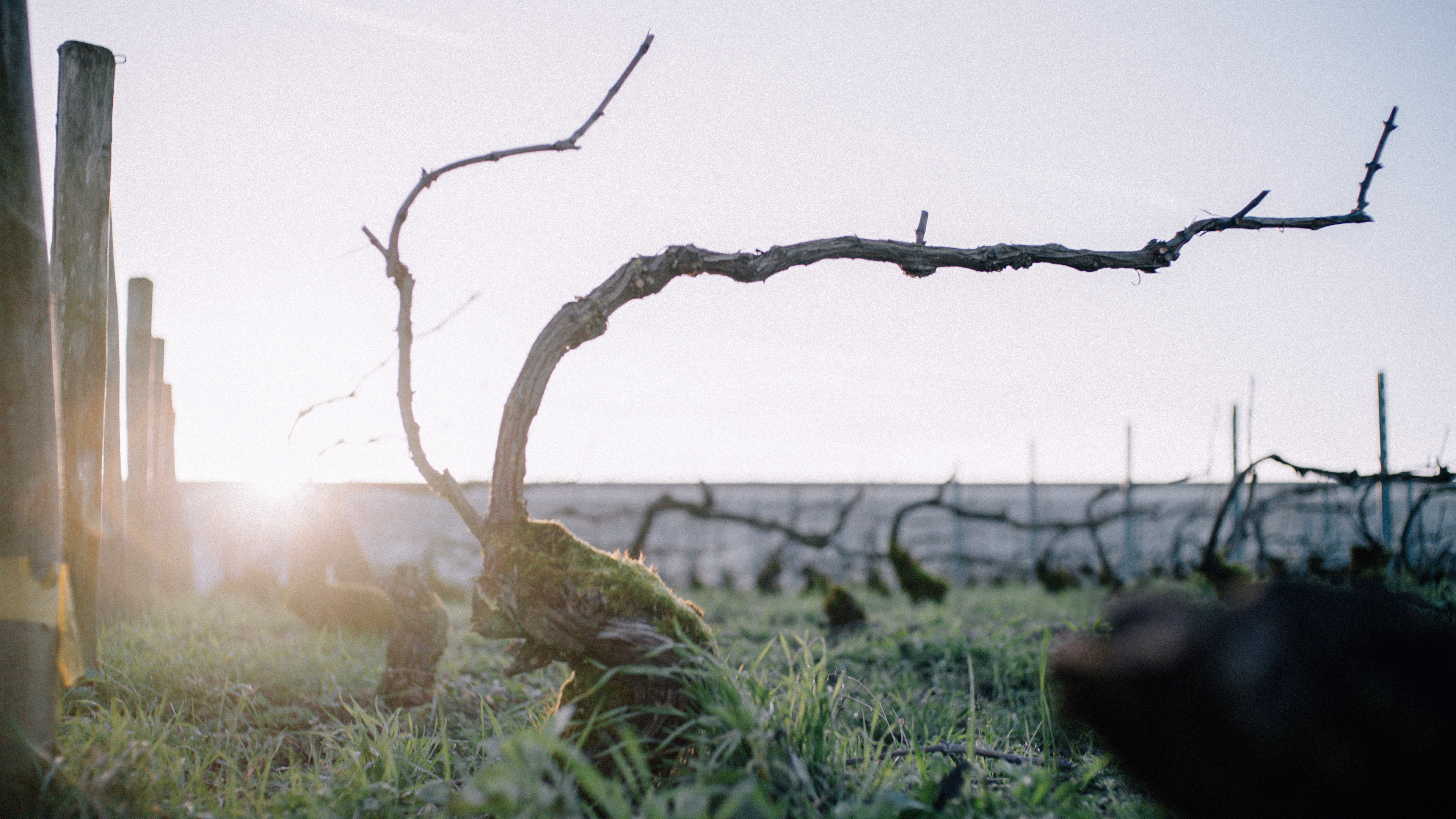 Krug x Max Richter Every Note Counts collaboration