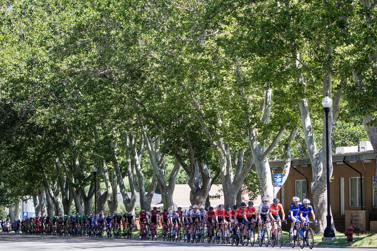 A brief moment of shade for the peloton