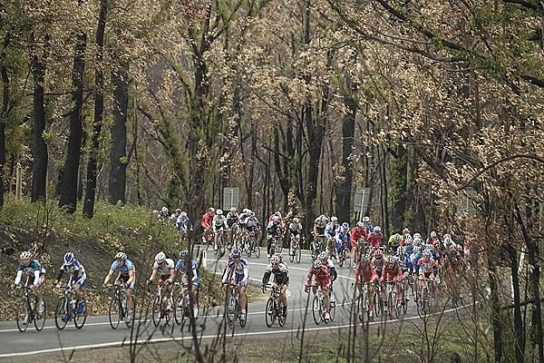 The peloton make their way through the bushfire ravaged region of Gippsland during stage two of the tour.