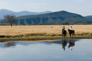 Game reserve through Lew Geffen