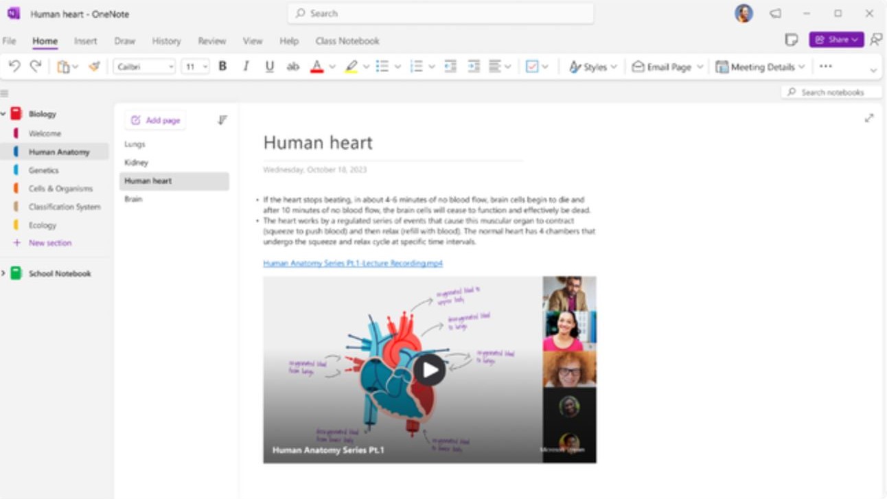 Imagen de vídeos en línea de OneNote