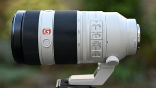 Sony FE 100-400mm f/4.5-5.6 G Master