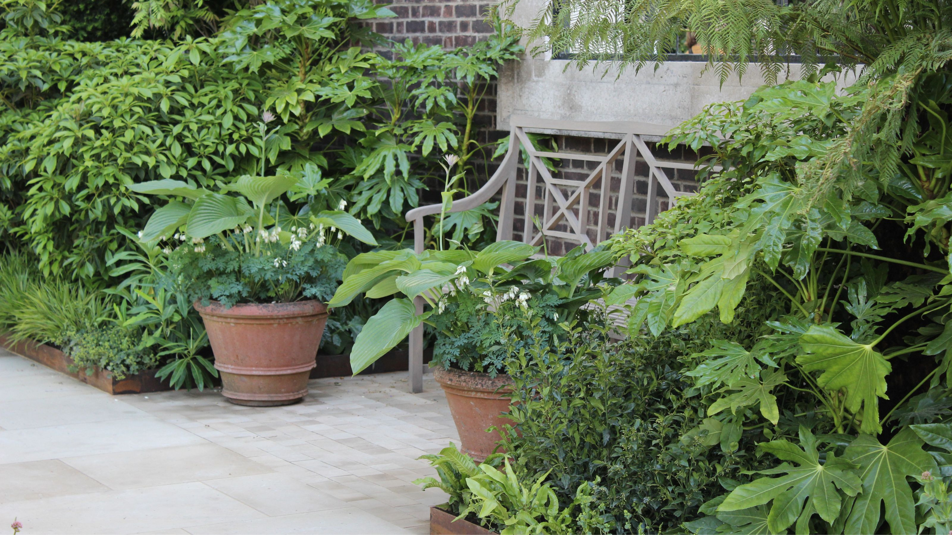 Terracotta plant pots surrounding bench at the RHS Chelsea Flower Show 2024