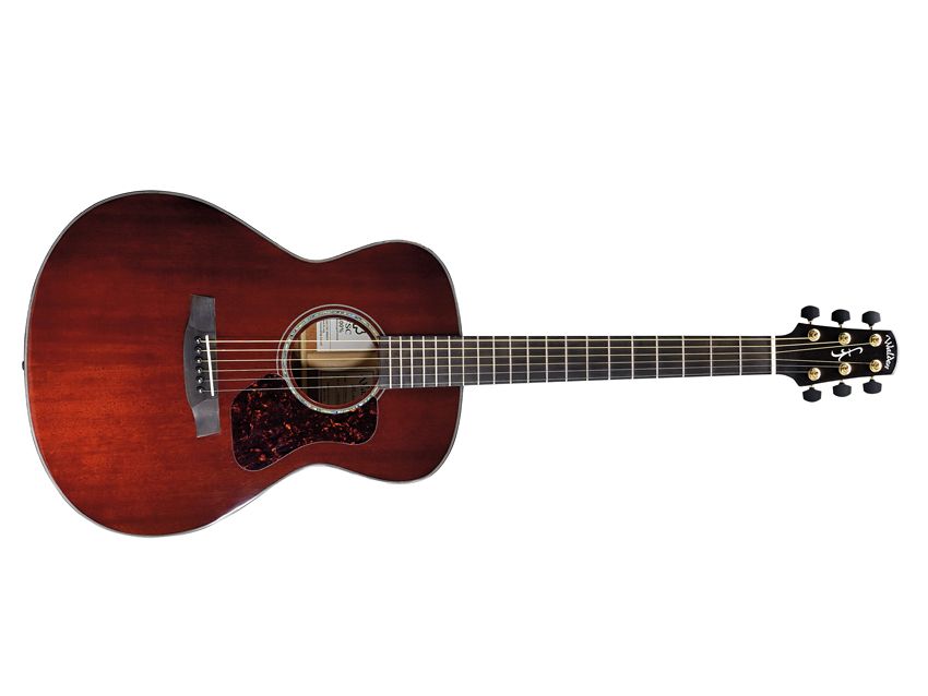 A tempting prospect for fingerpicking players.