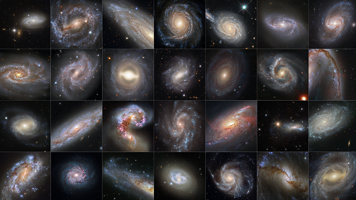 This image collection based on Hubble Space Telescope data features galaxies hosting both Cepheid variables and supernovas. Such objects help to chart the universe&#039;s expansion.